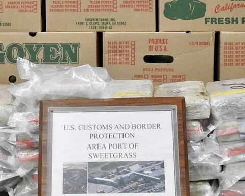 Major Cocaine Bust at California Border: Over 400 Pounds of Drugs Seized Hidden in Cucumber Shipment